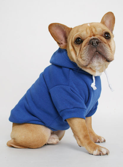 The Jasper Dog Hoodie
