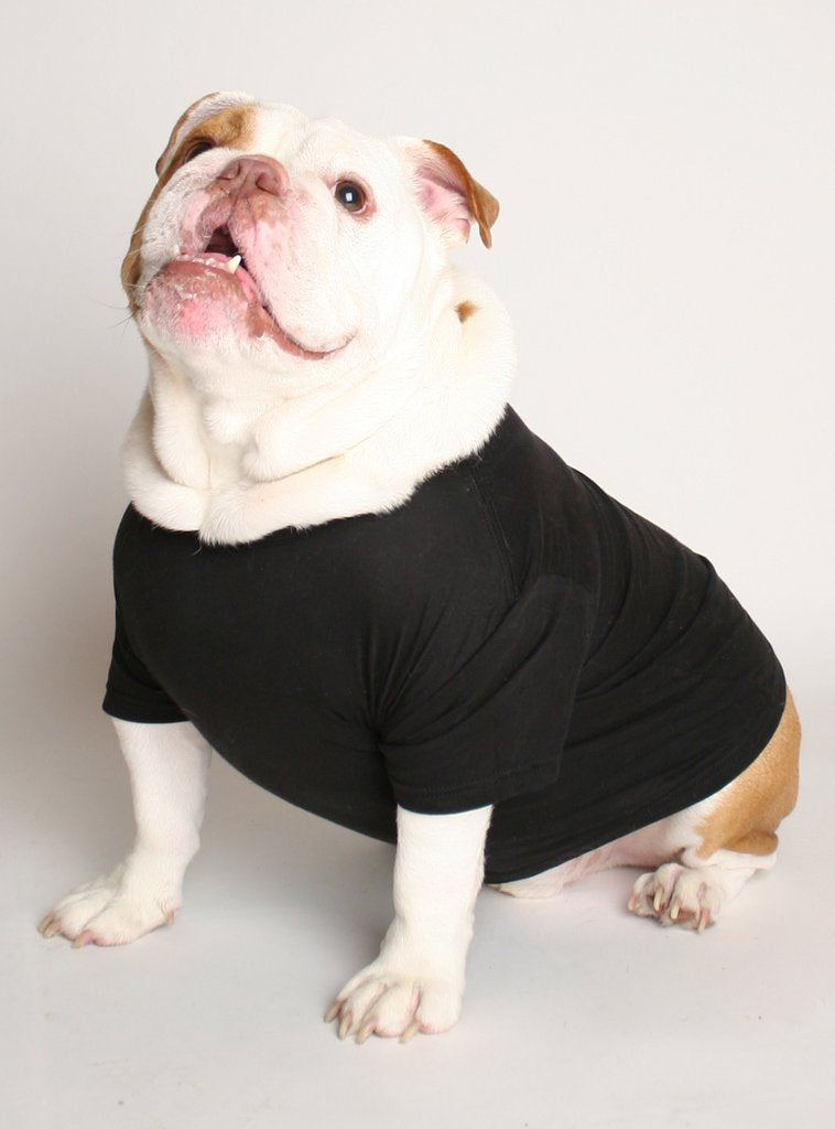 I Get Us Into + Out Of Trouble (2-Pack) Dog Tee