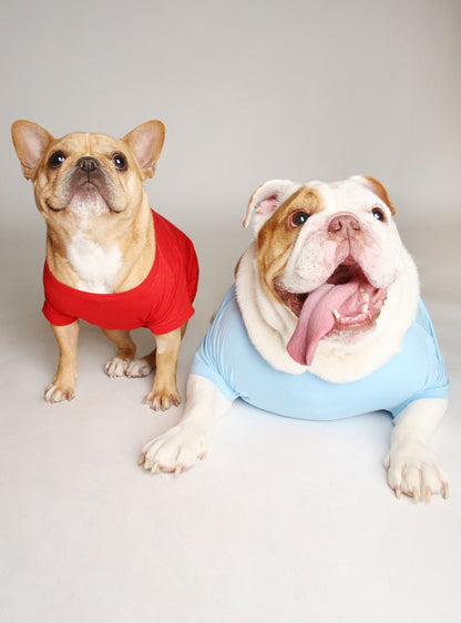 Little Miss Pees Inside Dog Tee
